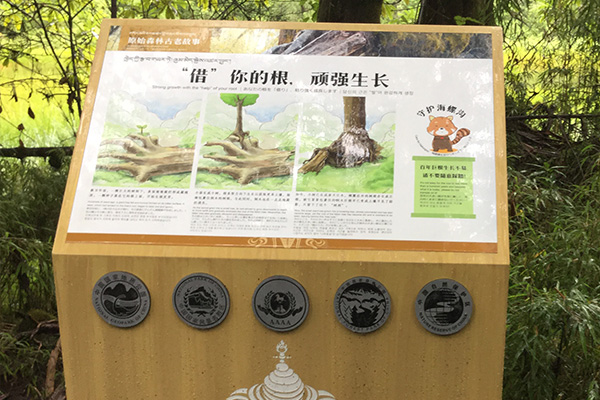 標識